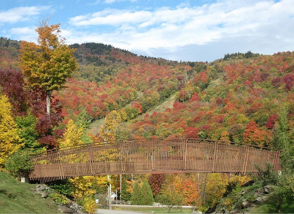 Ski In/Out Trailside Townhome Killington Eksteriør billede